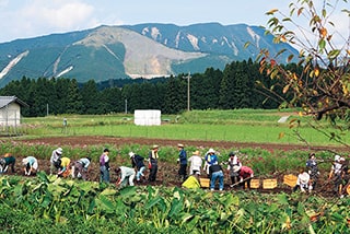 ESP農園・霊芝農園